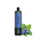 HOPO Hookah DTL 50000 Disposable Vape 25ml 5%(50K Puffs) - 图片 11