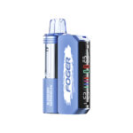 Foger Switch Pro 30000 Disposable Vape 5% - 图片 12