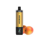 HOPO Hookah DTL 50000 Disposable Vape 25ml 5%(50K Puffs) - 图片 3