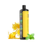 Solobar DTL25000 Disposable Vape 26ml 0.6%
Clearance - 图片 5