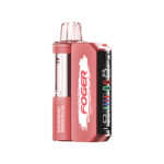 Foger Switch Pro 30000 Disposable Vape 5% - 图片 4
