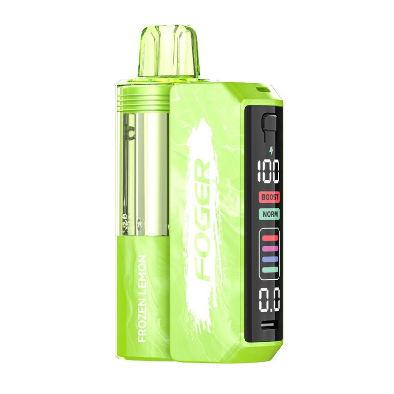Foger Switch Pro 30000 Disposable Vape 5% - 图片 40