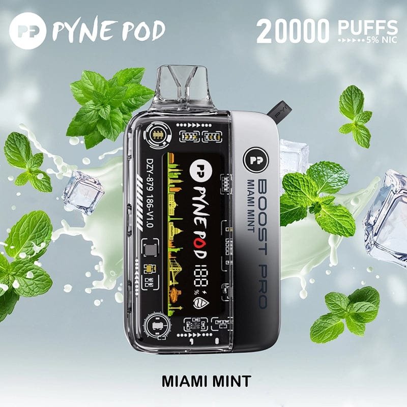 Pyne Pod Boost Pro Disposable Vape Kit 20000 Puffs
Clearance - 图片 8